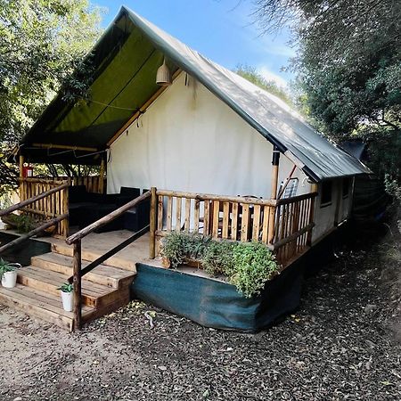 New Camping Coccorrocci Marina di Gairo エクステリア 写真