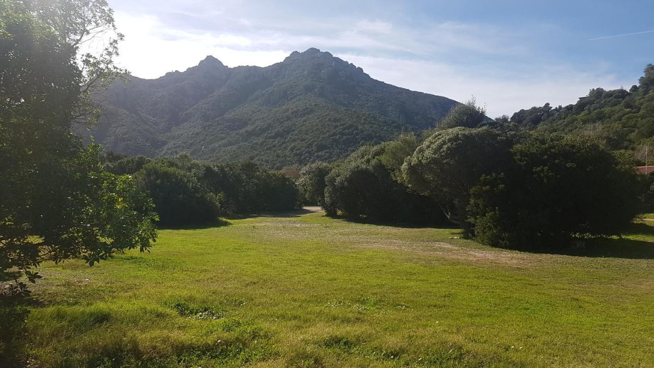 New Camping Coccorrocci Marina di Gairo エクステリア 写真