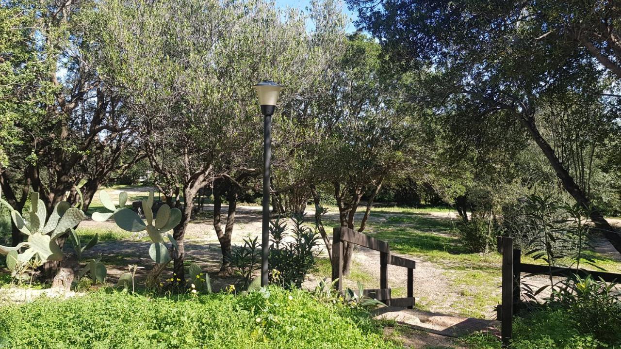 New Camping Coccorrocci Marina di Gairo エクステリア 写真