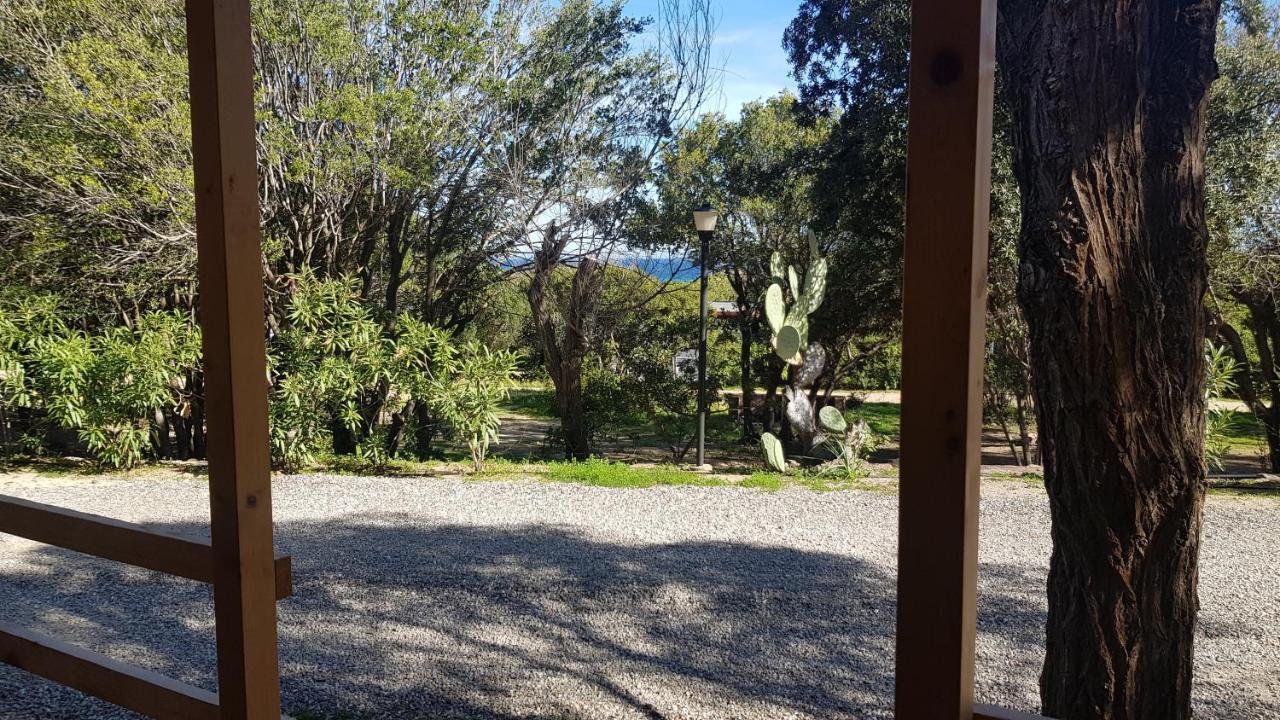 New Camping Coccorrocci Marina di Gairo エクステリア 写真