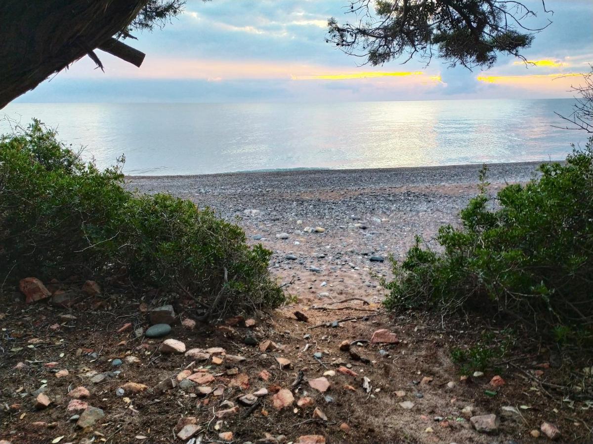 New Camping Coccorrocci Marina di Gairo エクステリア 写真