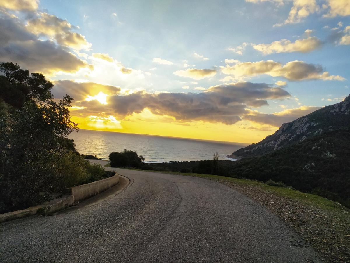New Camping Coccorrocci Marina di Gairo エクステリア 写真