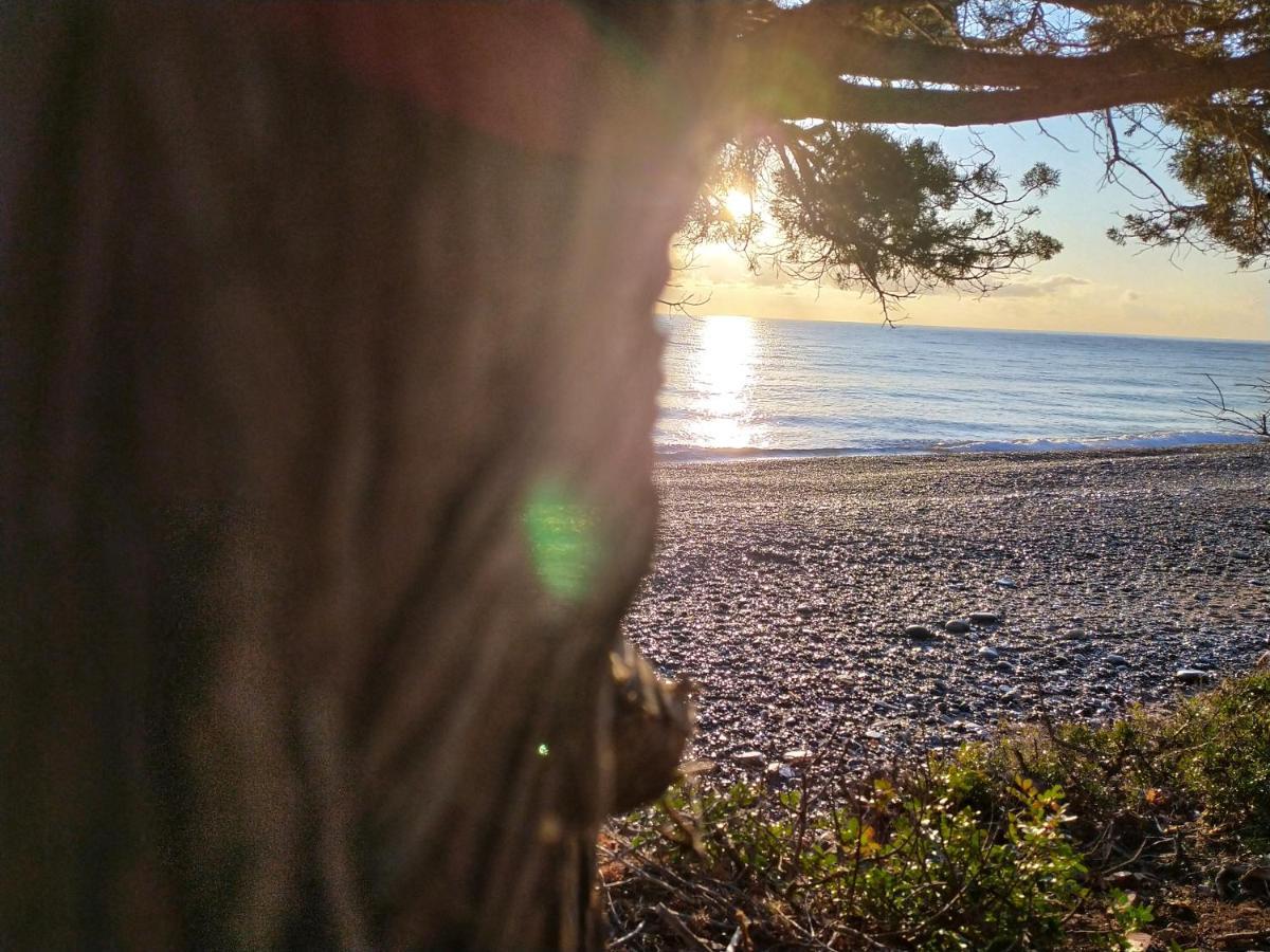 New Camping Coccorrocci Marina di Gairo エクステリア 写真