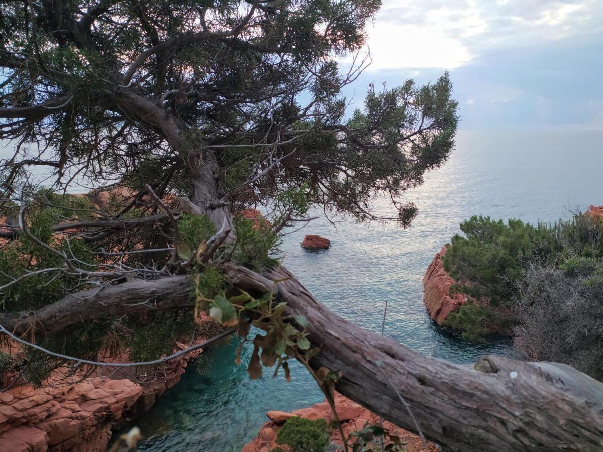 New Camping Coccorrocci Marina di Gairo エクステリア 写真