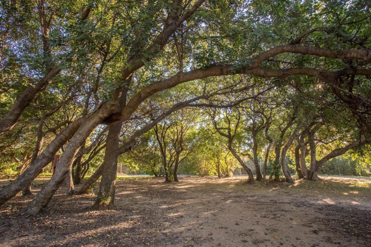 New Camping Coccorrocci Marina di Gairo エクステリア 写真