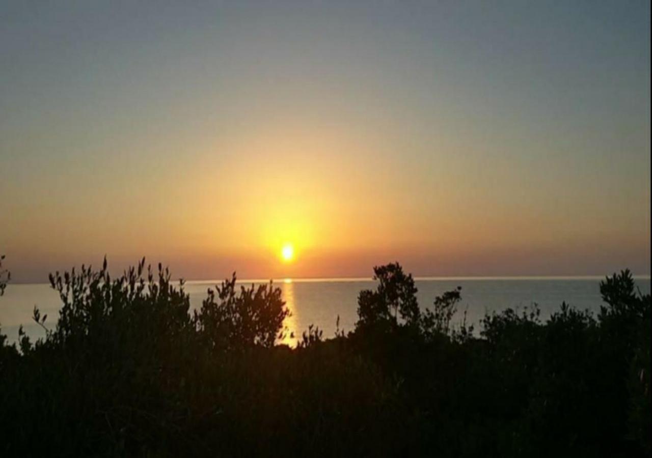 New Camping Coccorrocci Marina di Gairo エクステリア 写真