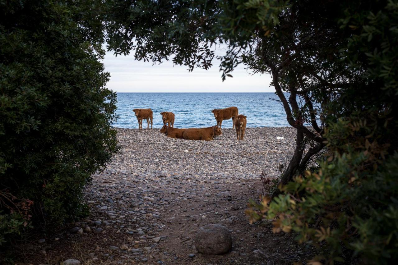 New Camping Coccorrocci Marina di Gairo エクステリア 写真